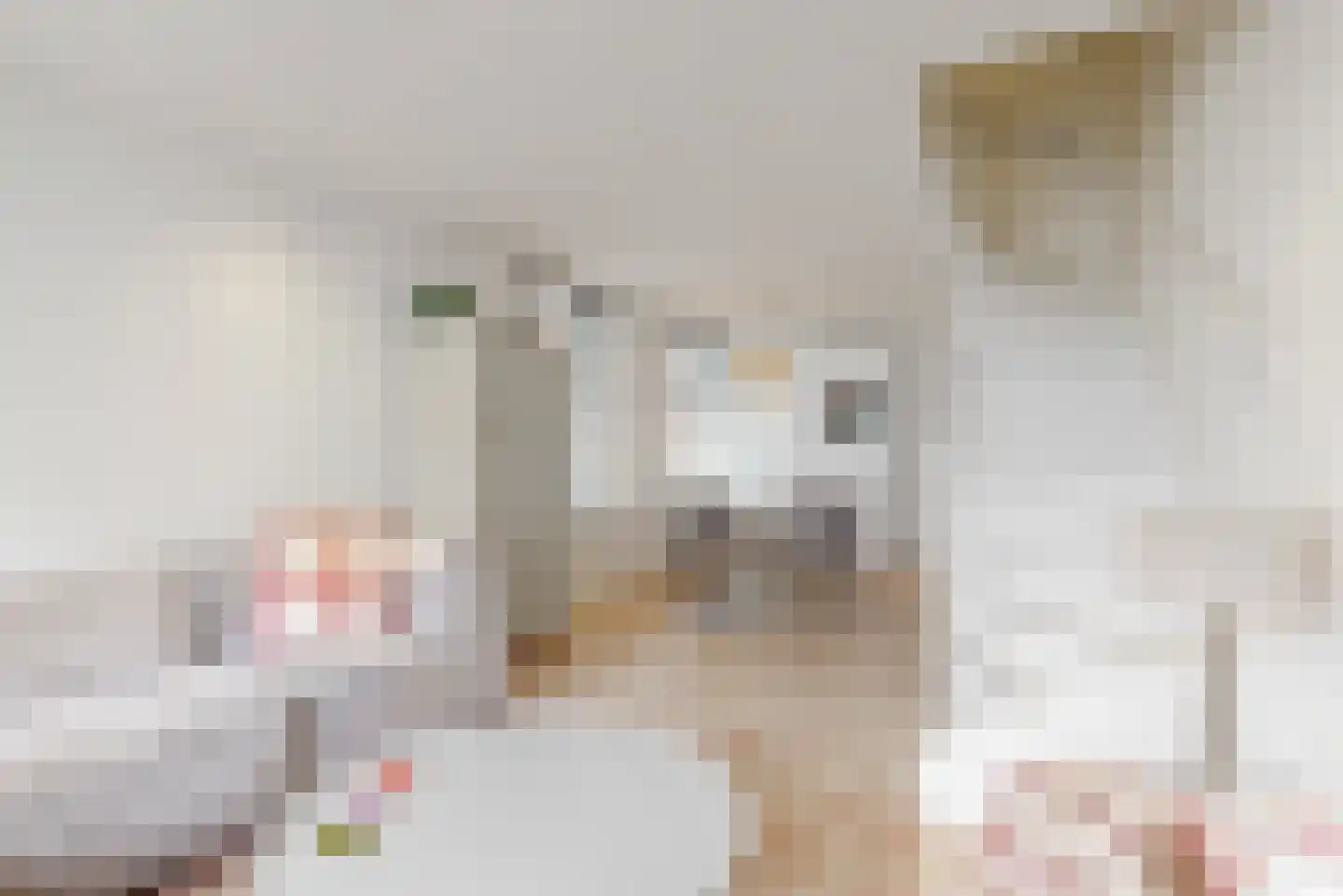 Jan van Necksteeg 4 Hoorn thumbnail 8