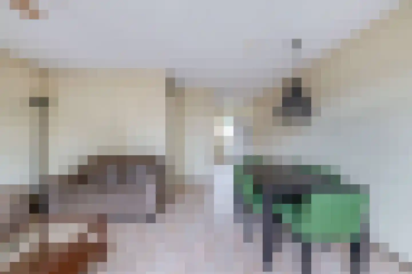 Jan van Nijlenhove 1 Nieuwegein thumbnail 11