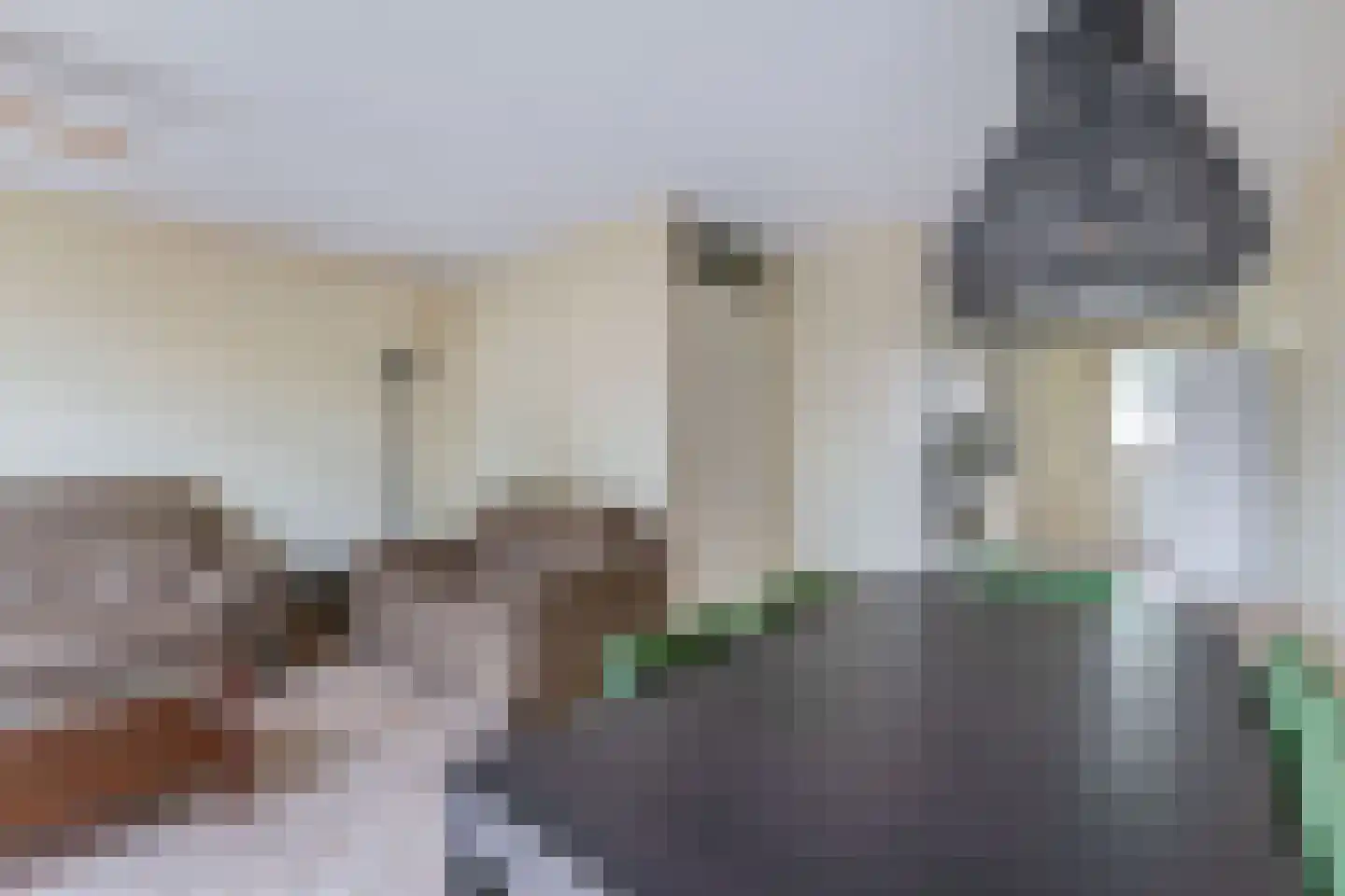 Jan van Nijlenhove 1 Nieuwegein thumbnail 12