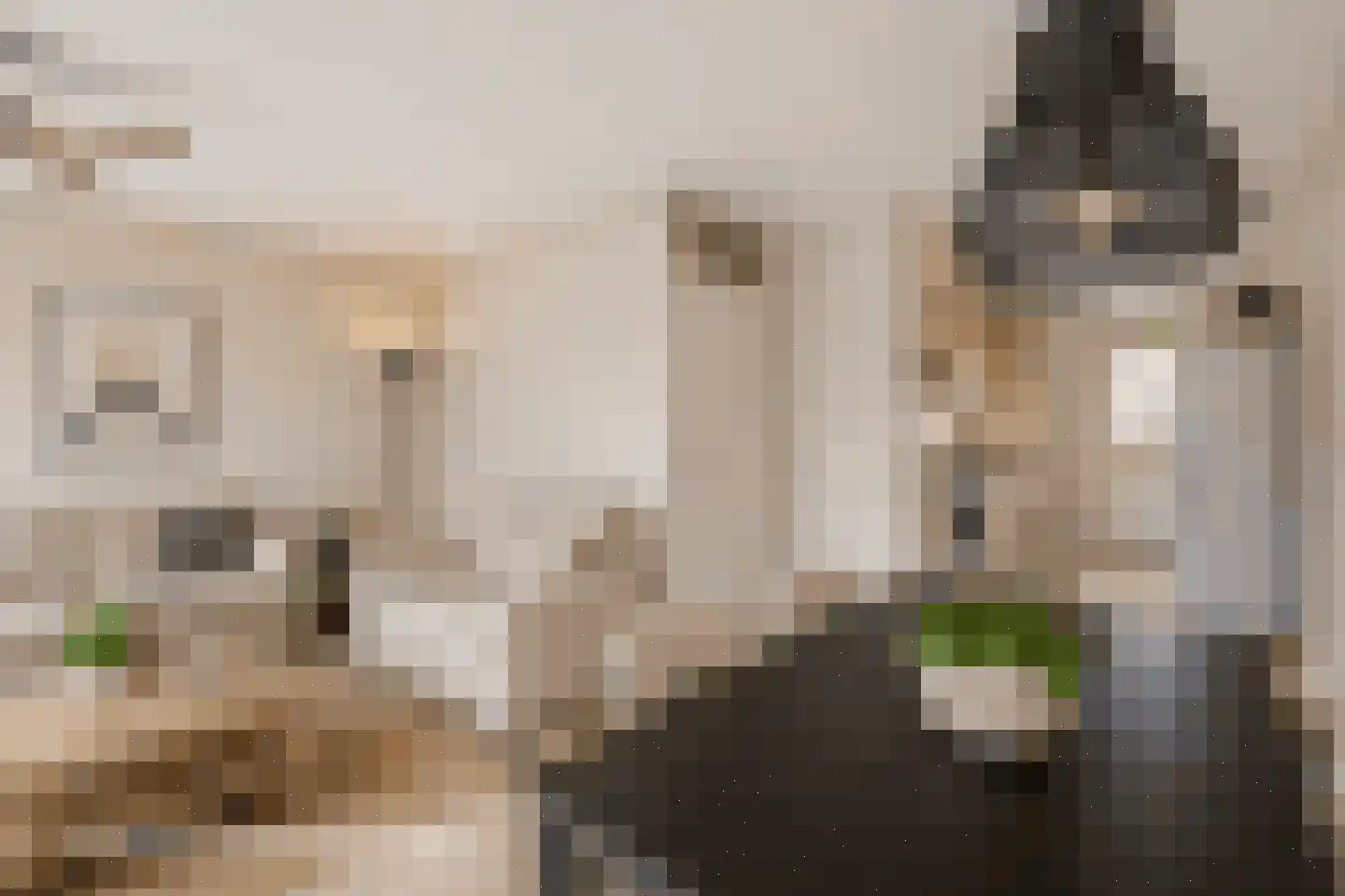 Jan van Nijlenhove 1 Nieuwegein thumbnail 13
