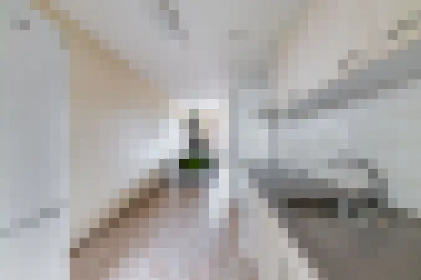Jan van Nijlenhove 1 Nieuwegein thumbnail 15