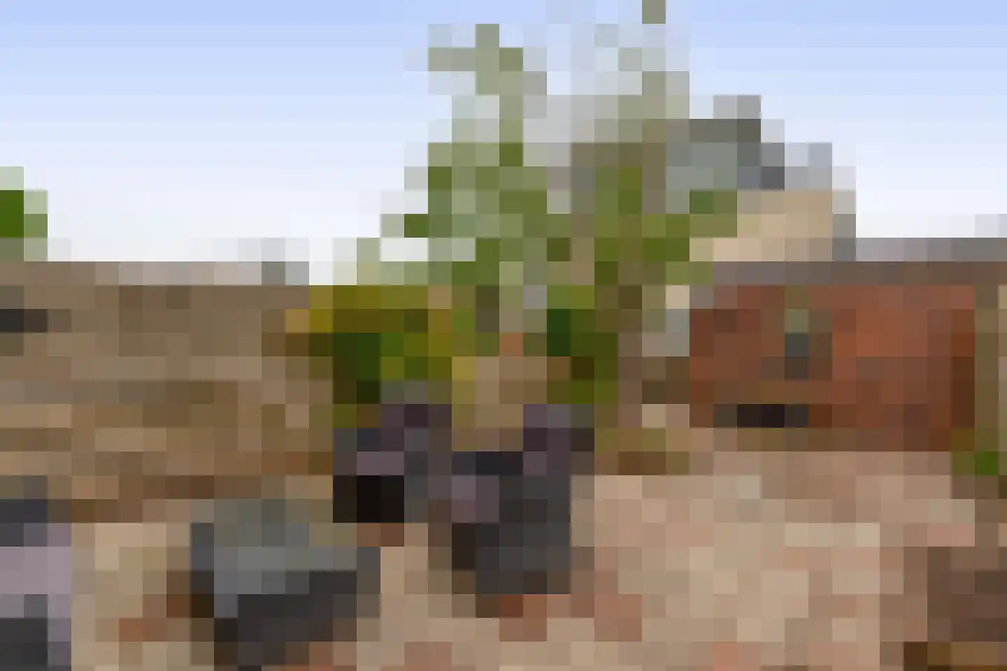 Jan van Nijlenhove 1 Nieuwegein thumbnail 16