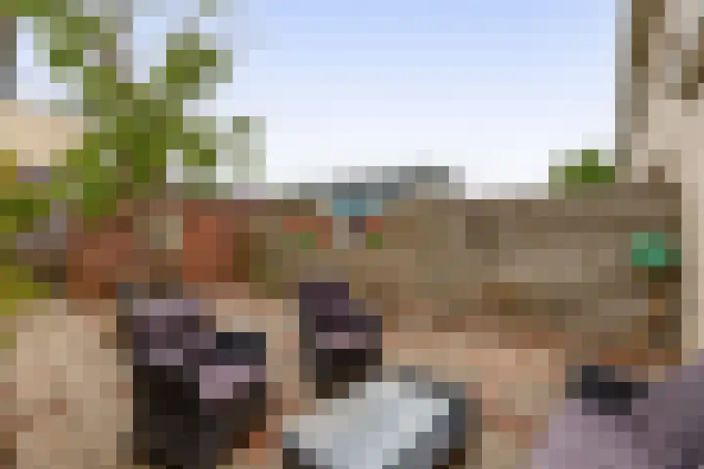 Jan van Nijlenhove 1 Nieuwegein thumbnail 17