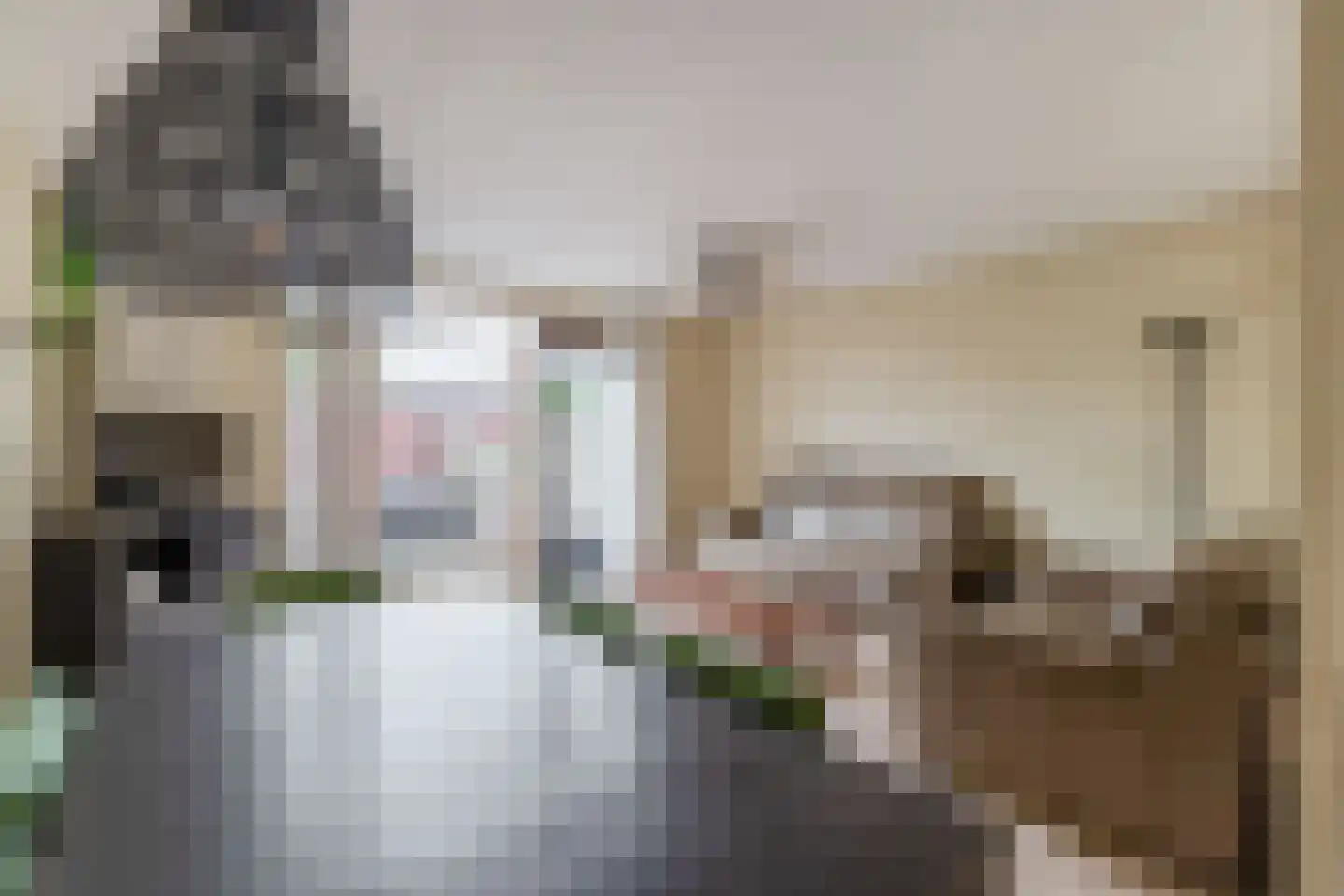 Jan van Nijlenhove 1 Nieuwegein thumbnail 9