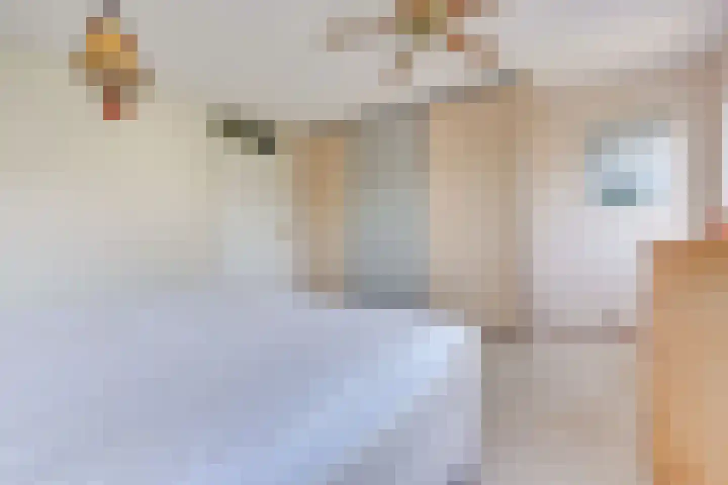 Jan van Nijlenhove 2 Nieuwegein thumbnail 25