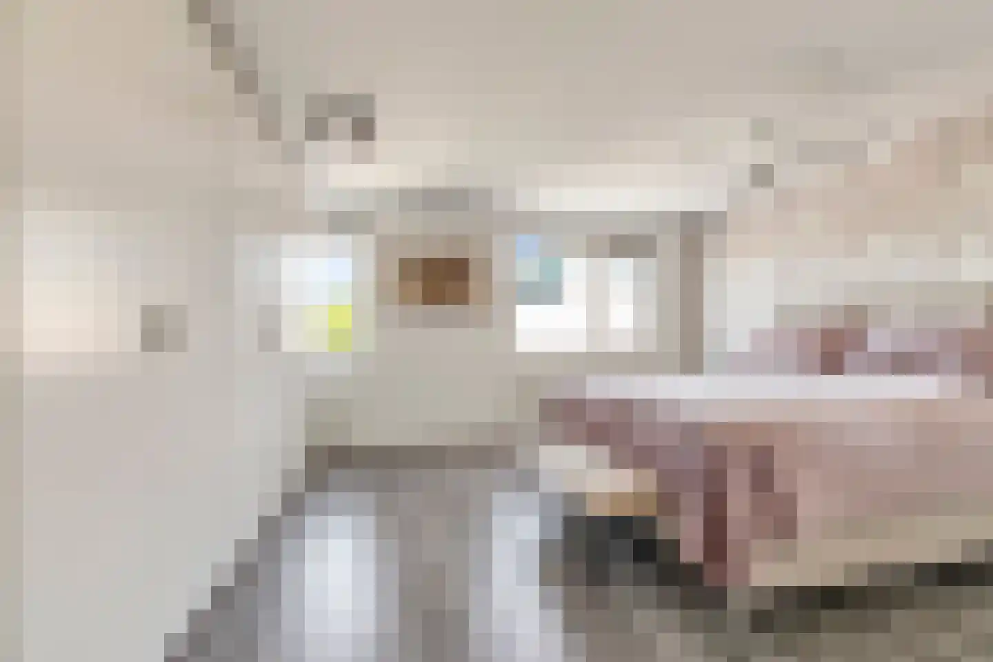 Jan van Nijlenhove 4 Nieuwegein thumbnail 26