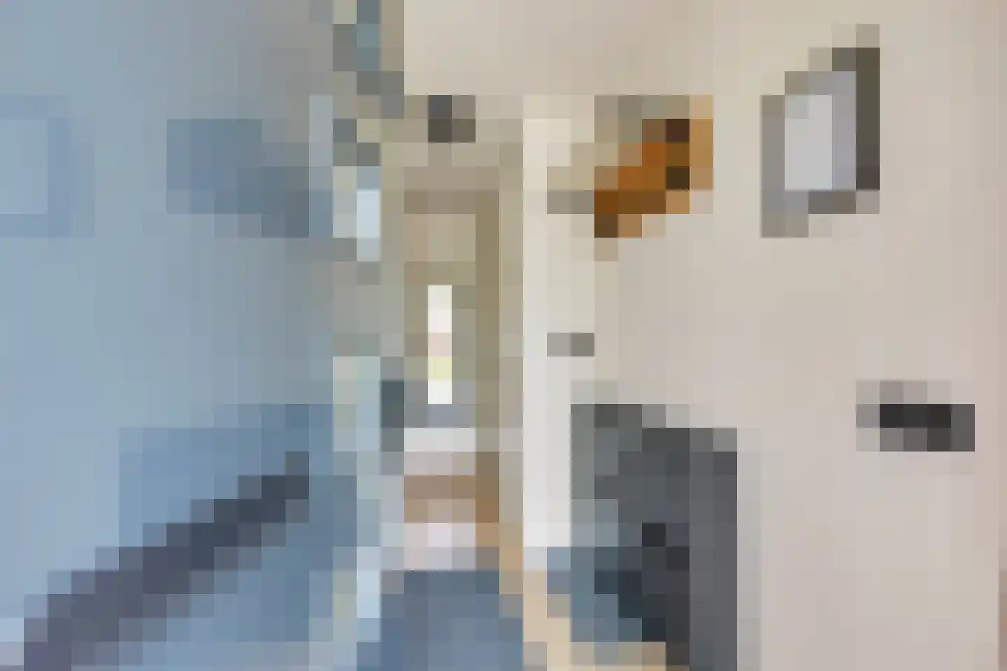 Jan van Nijlenhove 4 Nieuwegein thumbnail 6