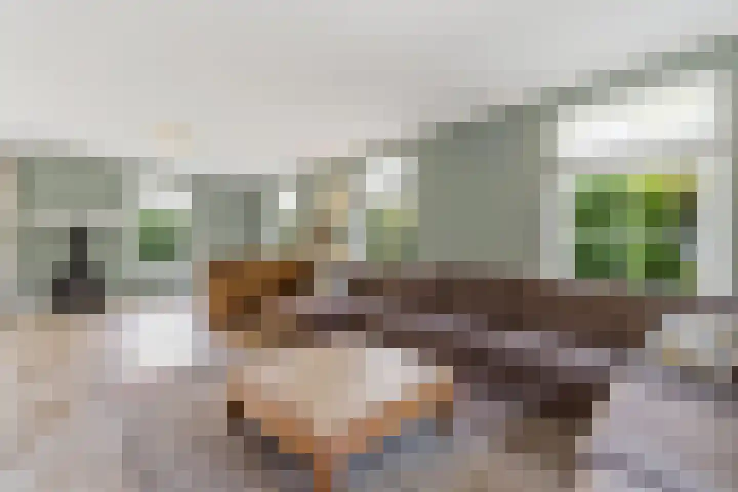 Jan van Polanenpad 5 Den Haag thumbnail 11