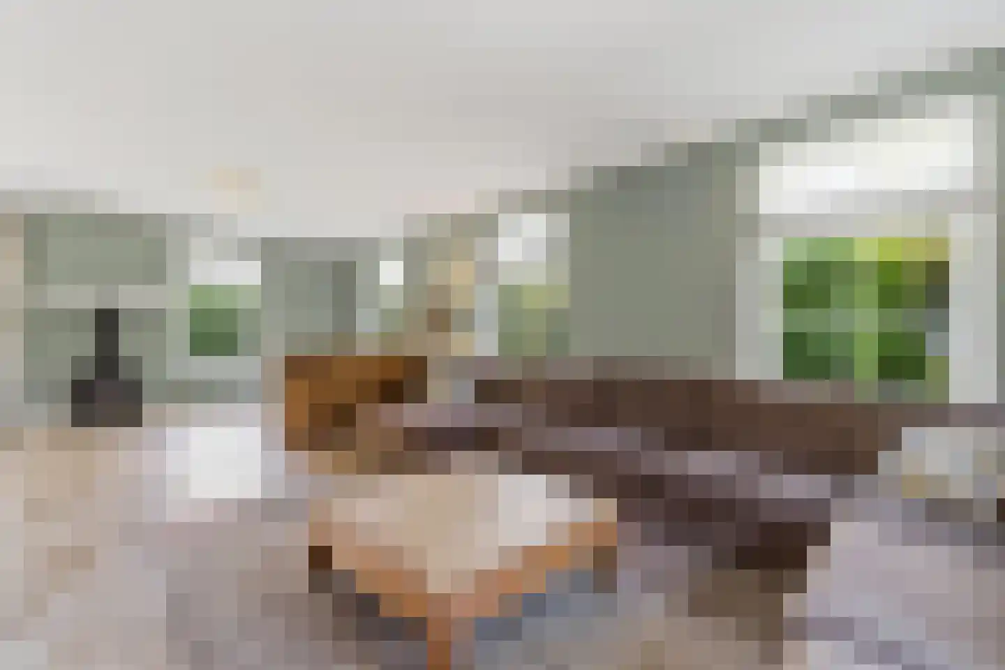 Jan van Polanenpad 5 Den Haag thumbnail 11