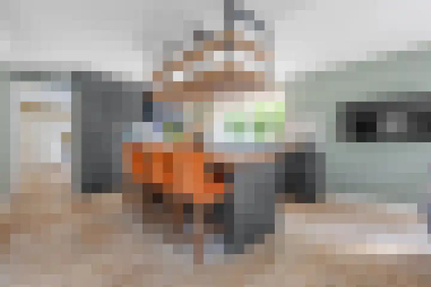 Jan van Polanenpad 5 Den Haag thumbnail 15