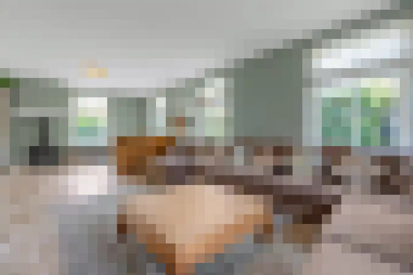 Jan van Polanenpad 5 Den Haag thumbnail 15