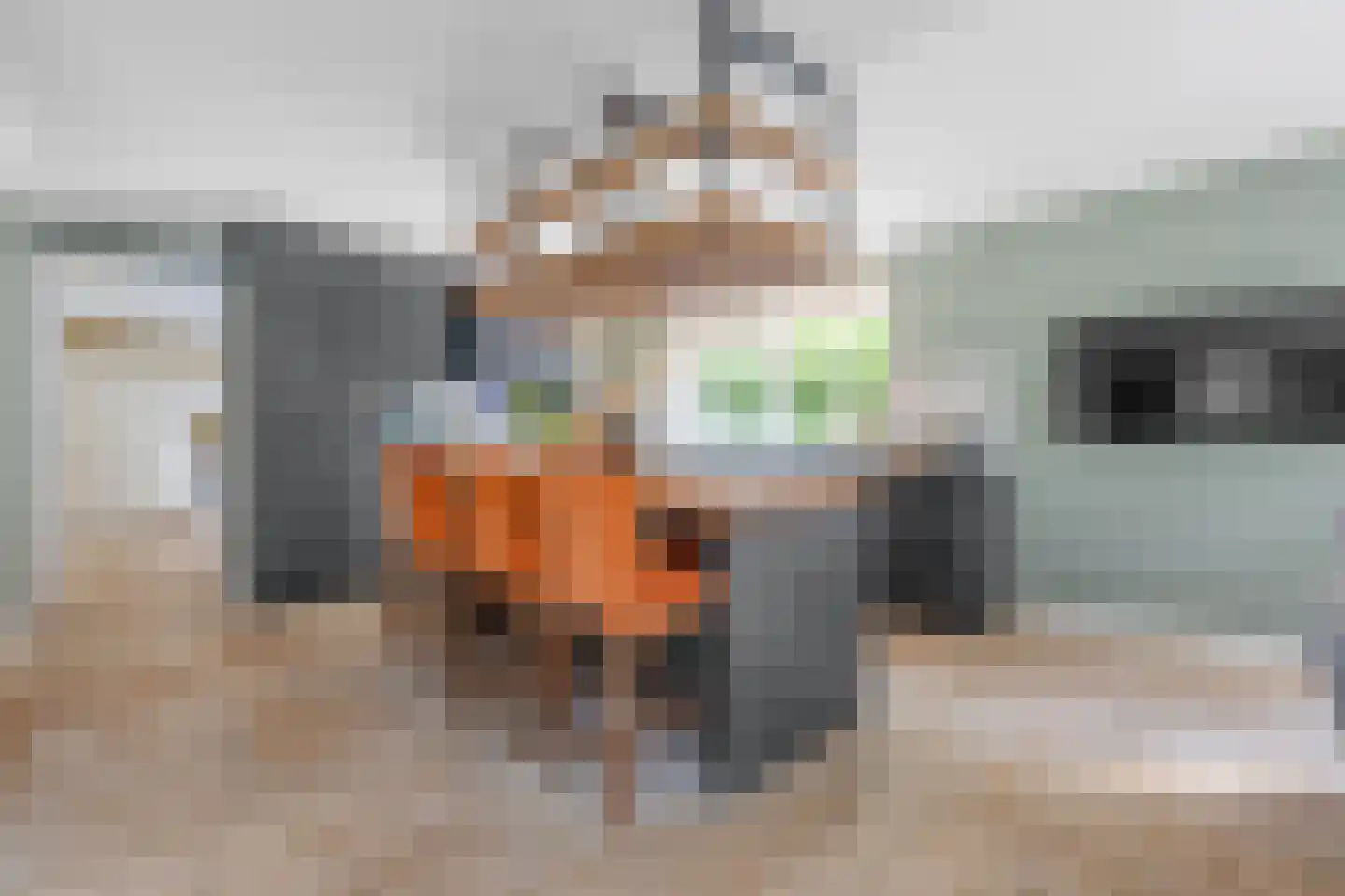 Jan van Polanenpad 5 Den Haag thumbnail 19