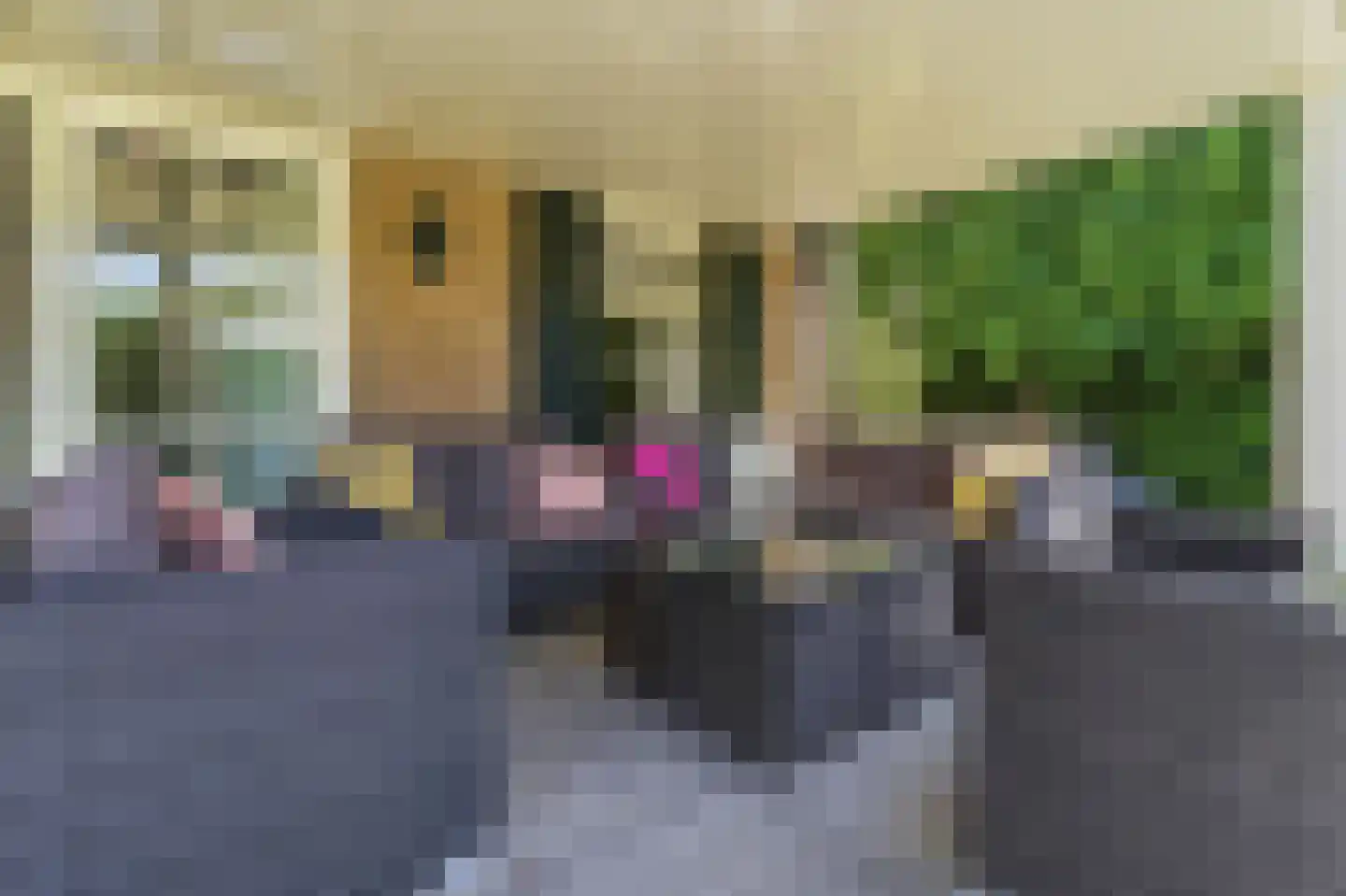 Jan van Polanenpad 5 Den Haag thumbnail 22