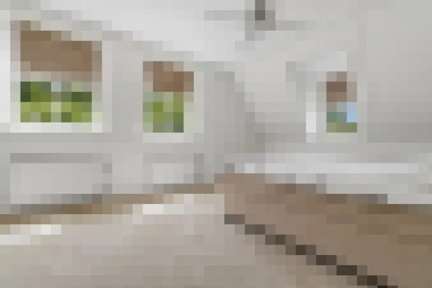 Jan van Polanenpad 5 Den Haag thumbnail 34