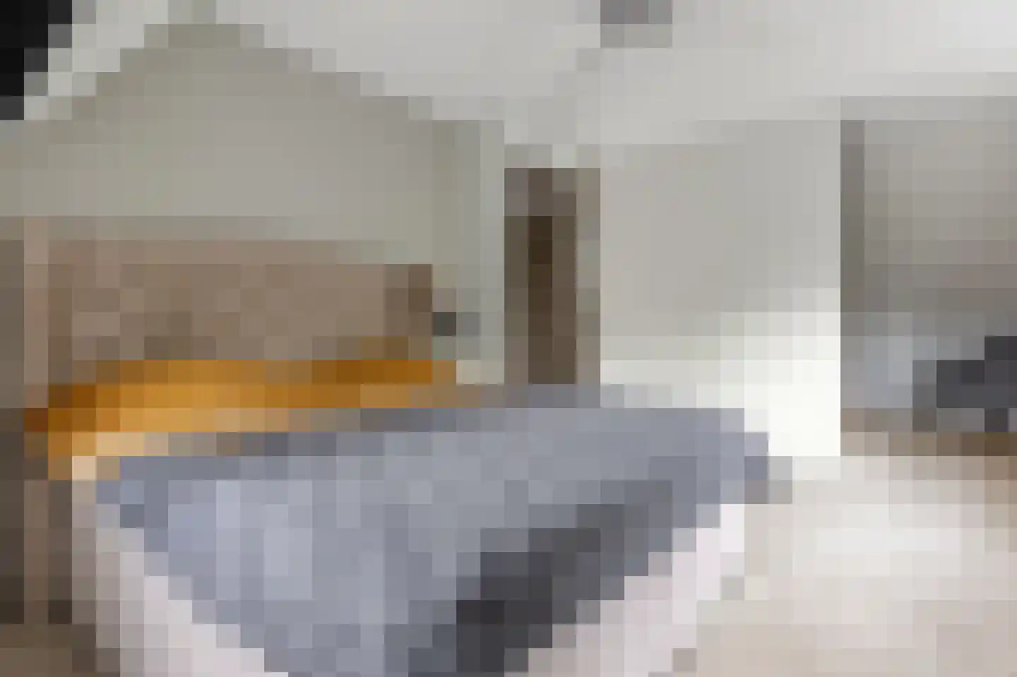 Jan van Polanenpad 5 Den Haag thumbnail 41