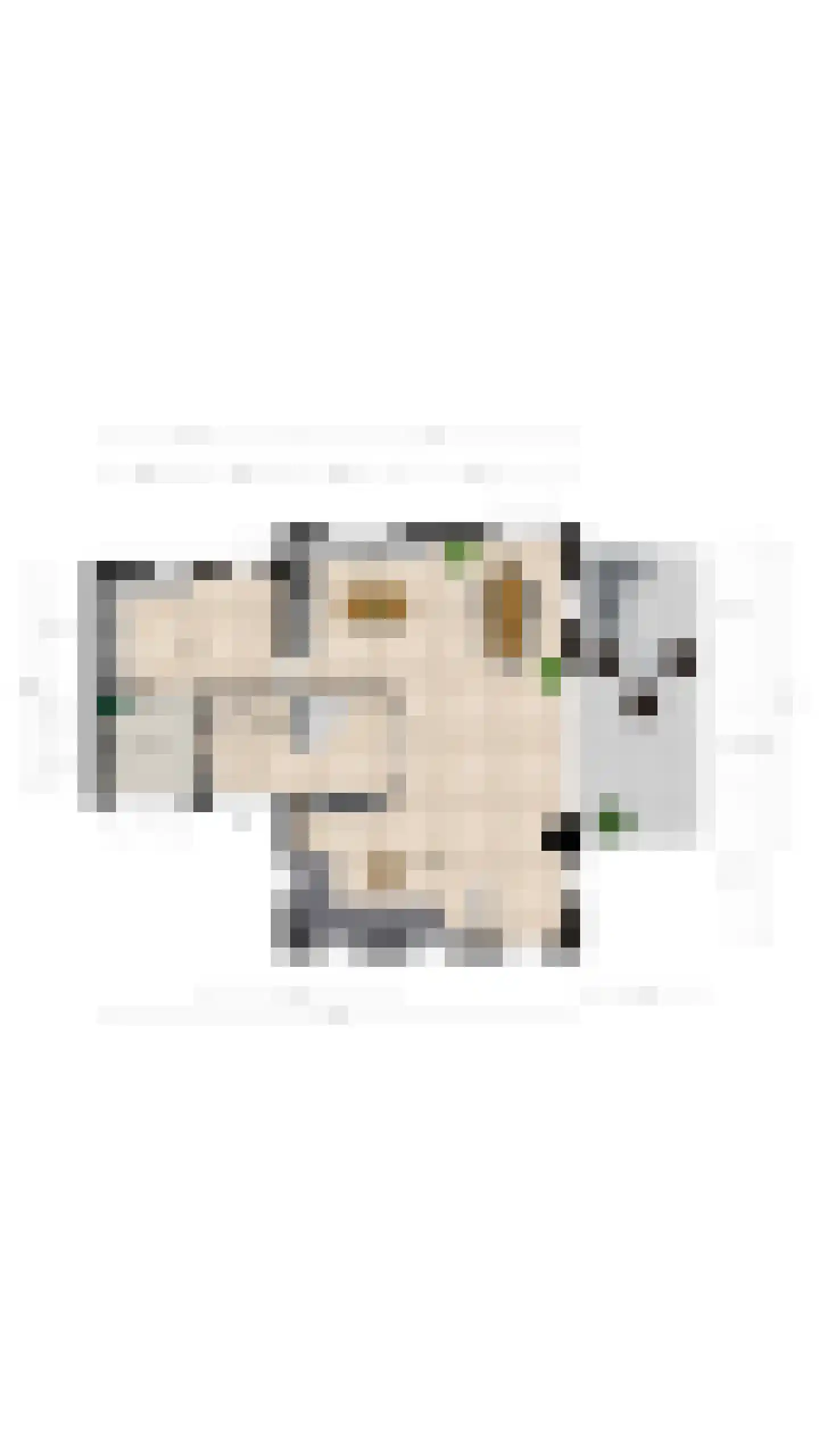 Jan van Polanenpad 5 Den Haag thumbnail 61