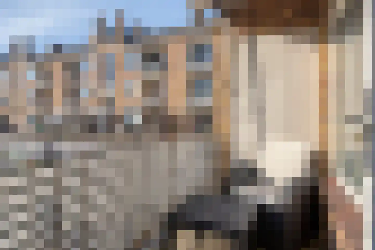 Jan van Polanenstraat 10 Rijswijk thumbnail 17