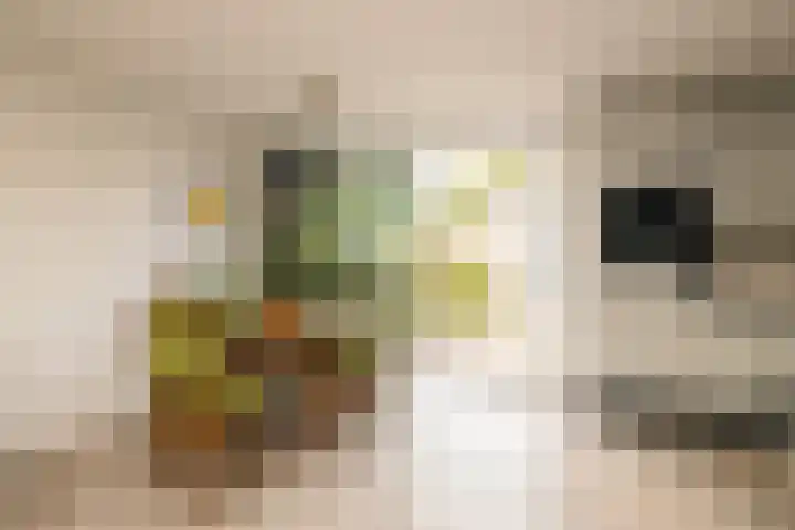 Jan van Polanenstraat 32 Monster thumbnail 18