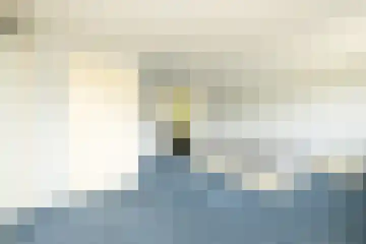 Jan van Polanenstraat 32 Monster thumbnail 22