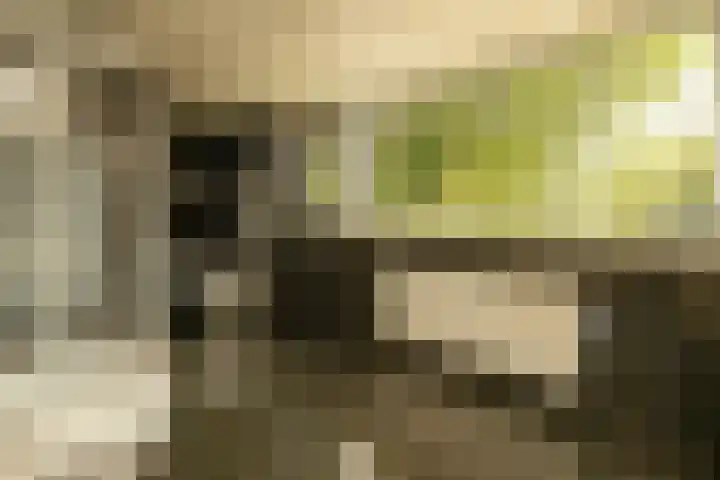Jan van Polanenstraat 32 Monster thumbnail 25