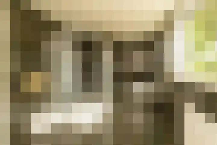 Jan van Polanenstraat 32 Monster thumbnail 26