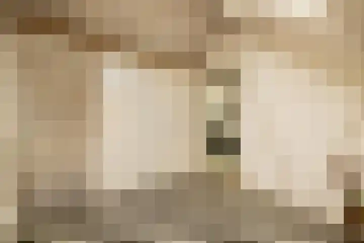 Jan van Polanenstraat 32 Monster thumbnail 31