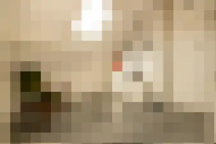 Jan van Polanenstraat 32 Monster thumbnail 32