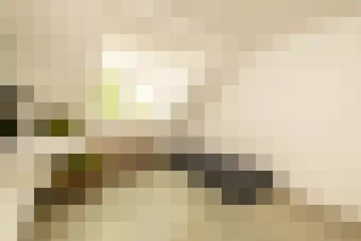 Jan van Polanenstraat 32 Monster thumbnail 33
