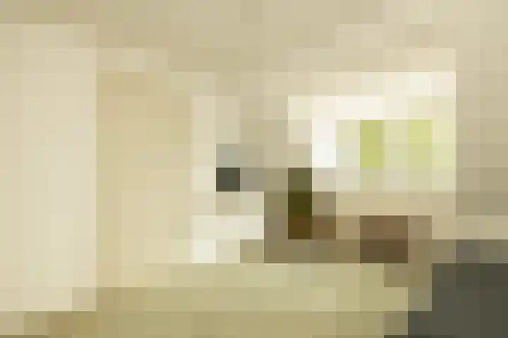 Jan van Polanenstraat 32 Monster thumbnail 34
