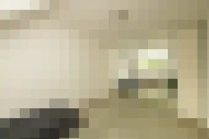 Jan van Polanenstraat 32 Monster thumbnail 35