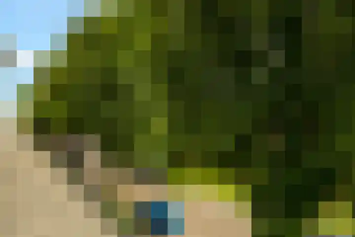 Jan van Polanenstraat 32 Monster thumbnail 37