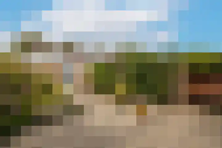 Jan van Polanenstraat 32 Monster thumbnail 39