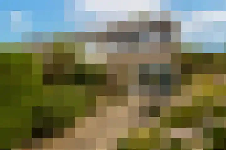 Jan van Polanenstraat 32 Monster thumbnail 41