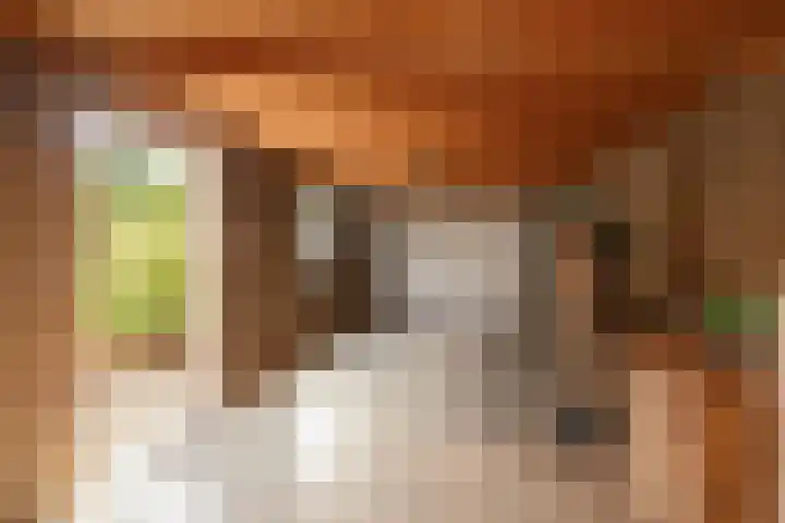 Jan van Polanenstraat 32 Monster thumbnail 46