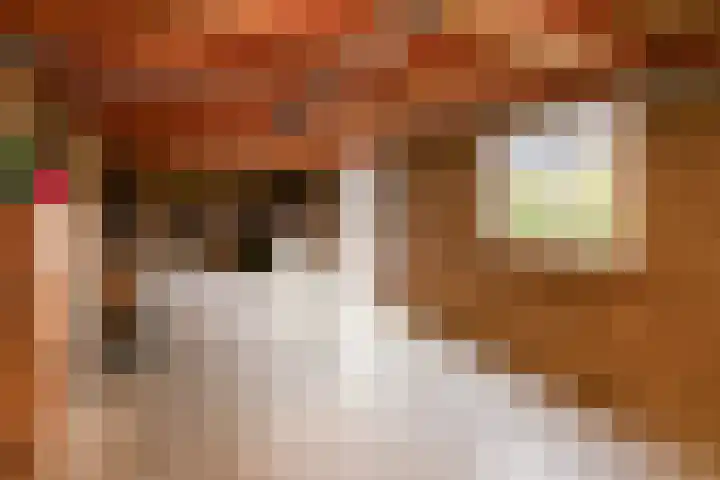 Jan van Polanenstraat 32 Monster thumbnail 47