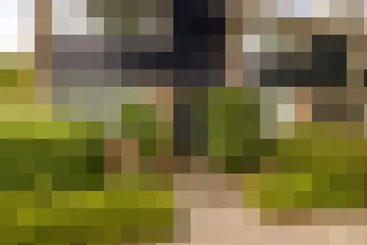 Jan van Polanenstraat 32 Monster thumbnail 6