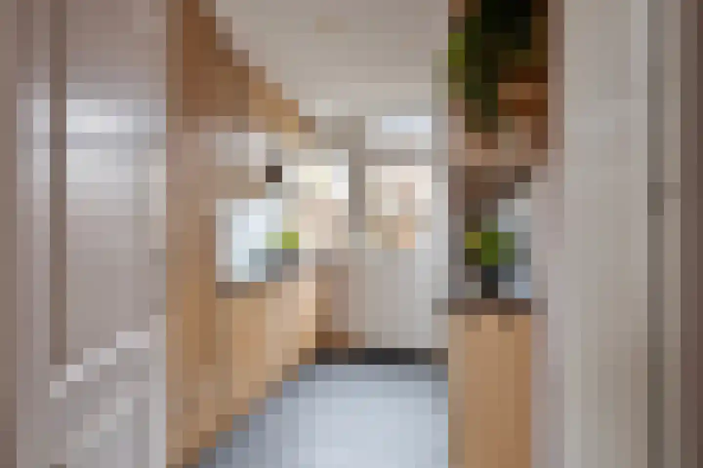 Jan van Polanenstraat 37 Heemskerk thumbnail 8
