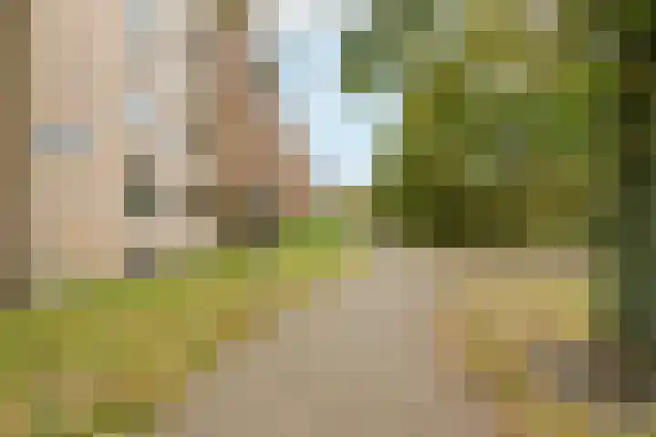 Jan van Ransdorpstraat 2 C Utrecht thumbnail 4