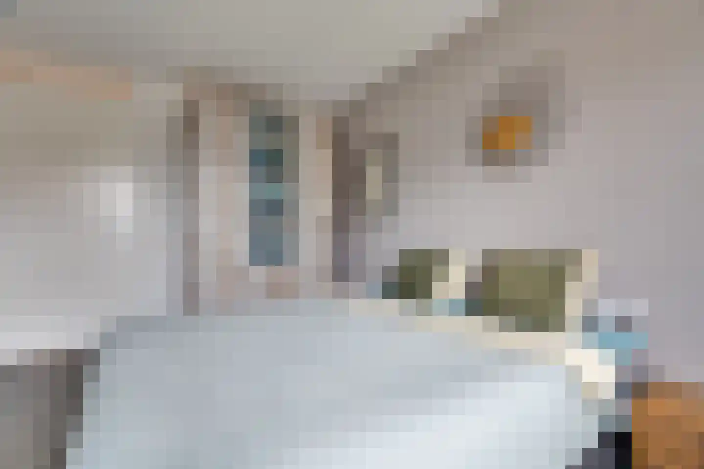 Jan van Ravenswaaystraat 12 Assen thumbnail 16