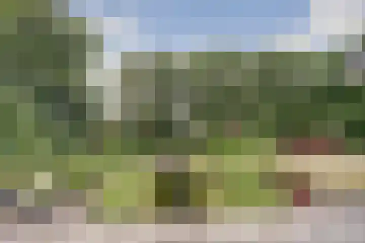 Jan van Renesseweg 23 Renesse thumbnail 38