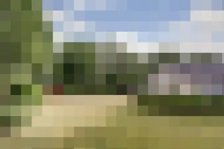 Jan van Renesseweg 23 Renesse thumbnail 39