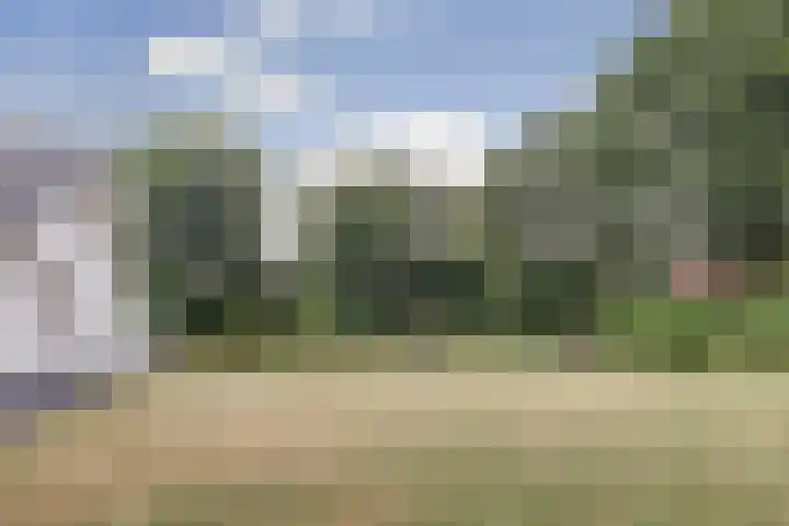 Jan van Renesseweg 23 Renesse thumbnail 40