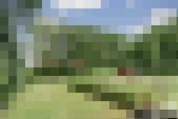 Jan van Renesseweg 23 Renesse thumbnail 41