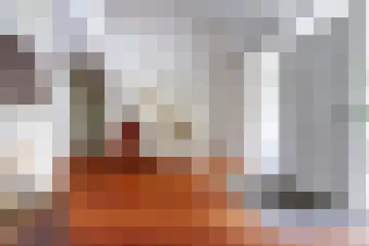 Jan van Renesseweg 23 Renesse thumbnail 7