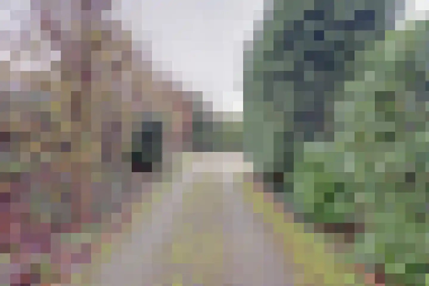 Jan van Renesseweg 4 Renesse thumbnail 39