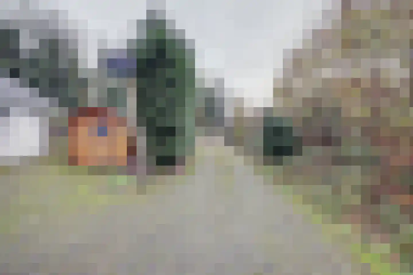 Jan van Renesseweg 4 Renesse thumbnail 40