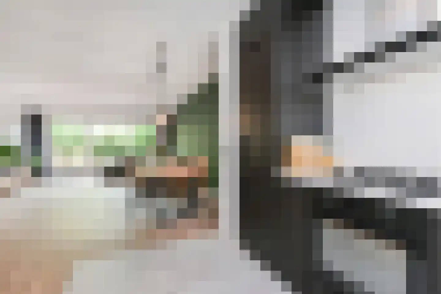 Jan van Riebeecklaan 10 Gouda thumbnail 10