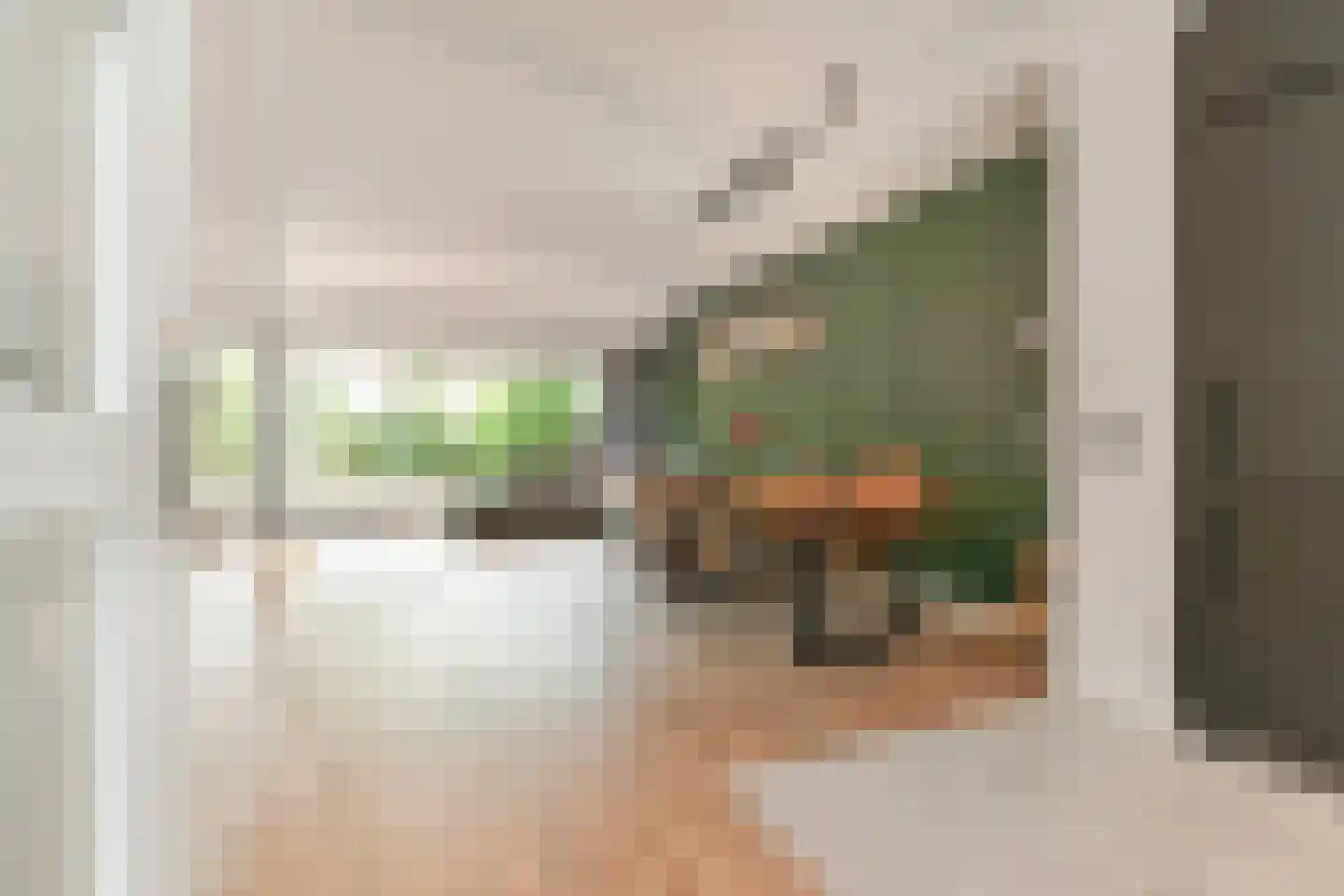Jan van Riebeecklaan 10 Gouda thumbnail 6