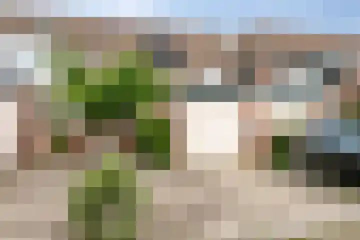 Jan van Riebeecklaan 109 Gouda thumbnail 28
