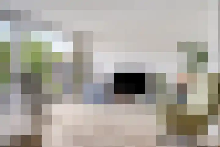 Jan van Riebeecklaan 109 Gouda thumbnail 5